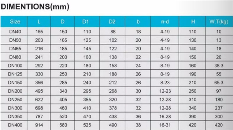 BS 5153 SWING CHECK